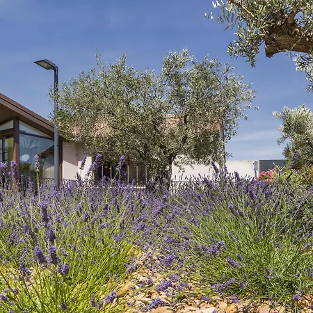Terre de Provence Hôtel&Spa-3